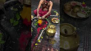 Har har Mahadev reel love misha shyam mishaan devotionalsong song mishaa harharmahadevsong [upl. by Zigmund]