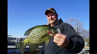 GIANT Panfish on the Madison Chain [upl. by Sven]