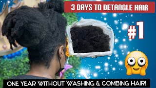 One year without washing amp combing hair [upl. by Howland]