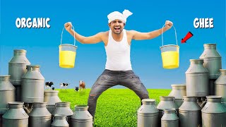 100 Liter Milk  How Much Ghee कितना घी निकलेगा   100 Pure amp Organic [upl. by Acirahs268]