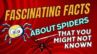 Discover the SHOCKING Truth About SPIDERS spiders arachnids nature [upl. by Eagle]