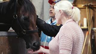 NZ 2000 Guineas Savaglee [upl. by Hollerman]