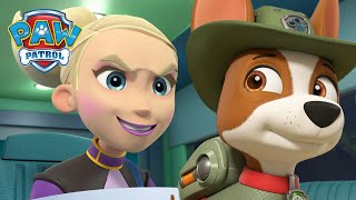 De Jungle Rescue Pups stoppen Cheetah van de bomen te vernielen  PAW Patrol Nederlands [upl. by Nai]