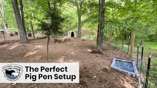 The Perfect Pig Pen Setup for Pet Pigs [upl. by Debor]