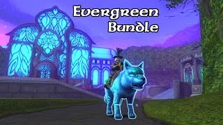 Wizard101 A Look at the NEW Evergreen Bundle amp Bundle Giveaway [upl. by Jamnis]