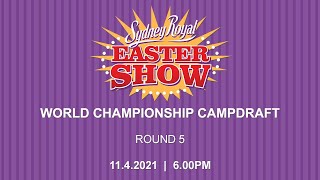 World Championship Campdraft  Round 5 [upl. by Eillehs808]