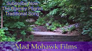 The Blarney Pilgrim Old Traditional Song reimagined [upl. by Viola]