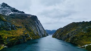 精靈峽灣｜ Trollfjord ｜lofoten ｜挪威 ｜DRONE ｜ Norway [upl. by Puett]