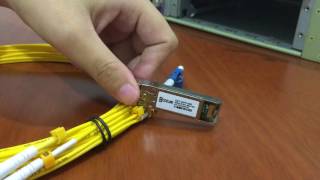 How to install and remove 10G SFP SR Modules [upl. by Slavic]