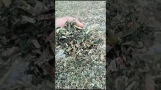 Comfrey Leaves Dried Available [upl. by Namron574]