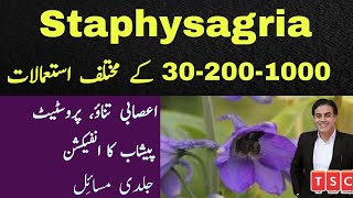 Staphysagria Explained  its Uses and Symptoms by Adeel mansoor Urdu HIndi [upl. by Teria]