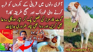 Feed for fattening goats  Qurbani ke Bakron ki tayari  Care Of eid goat  HB Business TV [upl. by Opiak178]