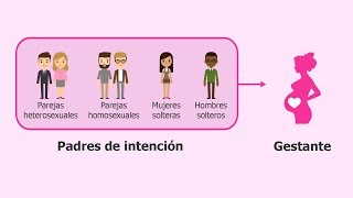 ¿Qué es la gestación subrogada [upl. by Celesta100]