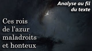 BAUDELAIRE 🔎 Les Fleurs du Mal  LAlbatros Analyse au fil du texte du poème [upl. by Armilla]