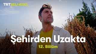 Şehirden Uzakta  AntalyaKaravca Köyü  TRT Belgesel [upl. by Fineberg394]