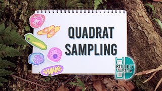 ALevel Biology  quadrat sampling [upl. by Dodson417]