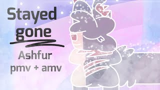 Stayed gone Ashfur pmvamv [upl. by Muhan]