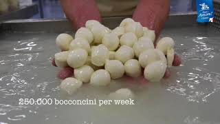 Bocconcini  Thats Amore Cheese [upl. by Yzeerb]