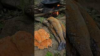 Trout Catch amp Cook and Chicken of the Woods with Doug [upl. by Assirrem]