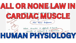 All or None Law in Cardiac Muscle Cardiac muscle Human Physiology [upl. by Ttreve908]