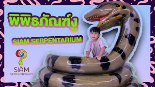 พิพิธภัณฑ์งู Siam serpentarium  SNAP CHANNELVLOG08 [upl. by Rolat]