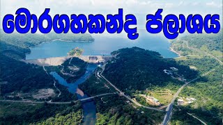 අසාමාන්‍ය කතා ගොඩක් The Moragahakanda Dam Nature Travel Wasgamuwa 04 [upl. by Eneroc]