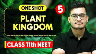 PLANT KINGDOM  Complete Chapter in One Video  ConceptsPYQs  Class 11th NEET [upl. by Brunhilda]