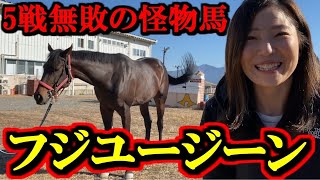 【超貴重映像】あのデビューから5戦無敗の怪物馬に密着取材できちゃったSP【競馬女子】 [upl. by Bohon]