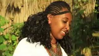 Shinasha Music by Mengistu Bekele [upl. by Philipines]