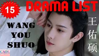 王佑硕 Wang You Shuo  Drama List  Wang Youshuo s all 15 dramas  CADL [upl. by Bass]