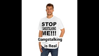 Gangstalking is Real Should be Studied Conference Keynote Speech [upl. by Gilbert524]