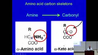 Catabolism of Amino Acids An Overview Metabolism Made Easy [upl. by Ruffina604]