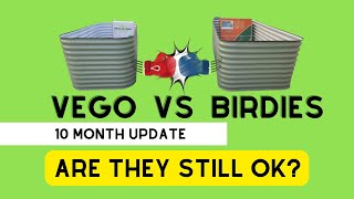 Birdies vs Vego Review  10 Months Later  Are The Beds Caving [upl. by Lewin80]