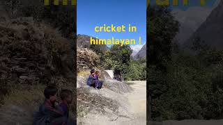 cricket in mountain ❤️ [upl. by Marvella904]