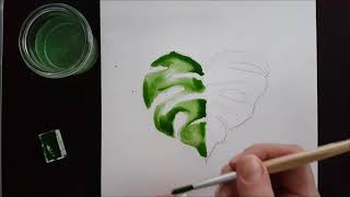 Aquarell Tutorial  Monstera Blatt malen einfach [upl. by Acceb403]