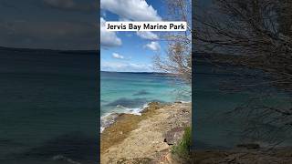 Jervis Bay Marine Park NSW Australia cuocsonguc sydneyadventure trekking nature beach [upl. by Anilahs]