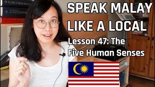 Speak Malay Like a Local  Lesson 47  The Five Human Senses [upl. by Ahsitul]