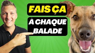 Chien désobéissant  il n’écoute pas dehors  Fais ça en balade [upl. by Anaigroeg]