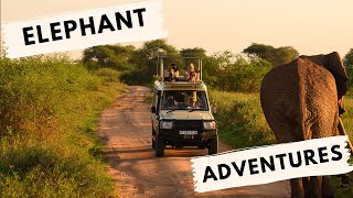 Close Encounters with Elephants in Tarangire National Park Tanzania  Unedited Safari Footage [upl. by Jakoba]