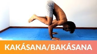 Aprenda a Fazer KakásanaBakásana  Equilíbrio e Força  Carlo Guaragna  Prána Yoga [upl. by Netsud]