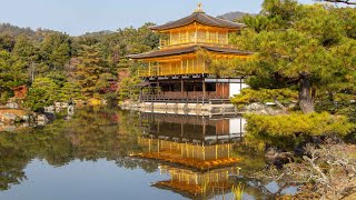 Kinkakuji 金閣寺 Golden Pavilion Kyoto [upl. by Rot948]