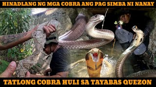 PINASOK NA ANG MAPANGANIB NA BUTAS TOLCOBRA [upl. by Adnohsek756]