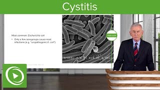 Cystitis Definition Causes and Epidemiology – Infectious Diseases  Lecturio [upl. by Leigha975]