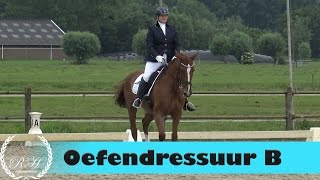 KNHS klasse B proef 3 Oefendressuur  Hart voor paarden  11 juni 2016 [upl. by Llehcram547]