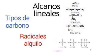 Alcanos lineales tipos de carbono y radicales alquilo [upl. by Noah147]