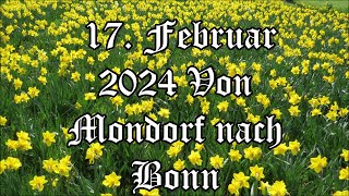 Niederkassel  Mondorf nach Bonn 2024 [upl. by Auohp]