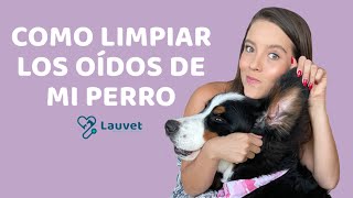 CÓMO LIMPIAR LOS OÍDOS DE MI PERRO  Lauvet [upl. by Oinimreh492]