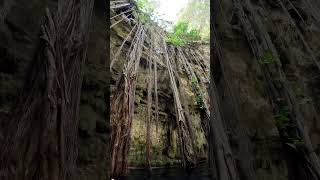 Cenotes MESSICO [upl. by Yrocaj598]