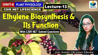 ETHYLENE BIOSYNTHESIS AND FUNCTIONS  PHYTOHORMONESPART13CSIR NET PLANT BIOLOGY [upl. by Anassor]