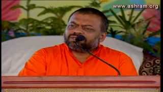 Shri Sureshanandji Satsang 25th March 2013 Delhi  Morning Session [upl. by Bury]